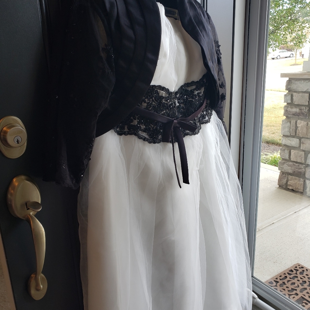 20W NWT Tea-length Strapless Gown / Black Lacey Bolero Jacket Sold Seperately - Picture 4 of 12